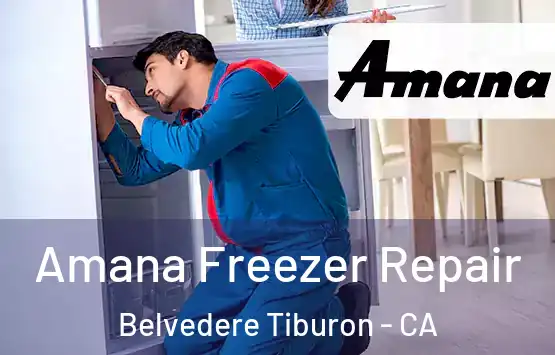  Amana Freezer Repair Belvedere Tiburon - CA