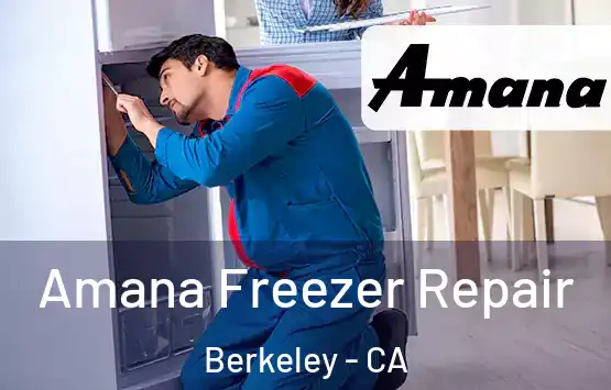 Amana Freezer Repair Berkeley - CA