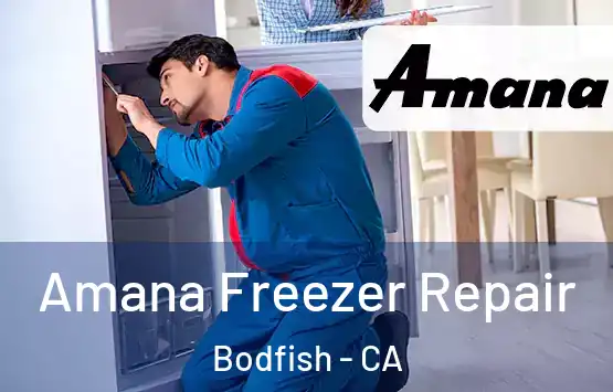  Amana Freezer Repair Bodfish - CA