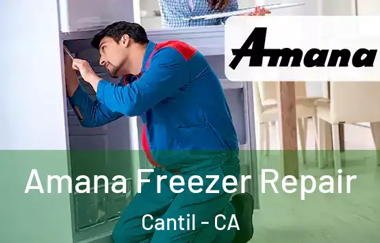  Amana Freezer Repair Cantil - CA