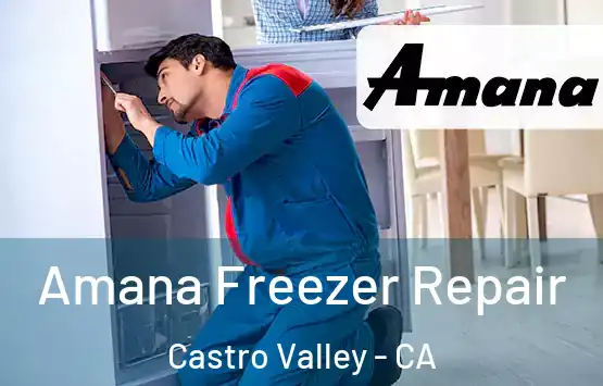  Amana Freezer Repair Castro Valley - CA