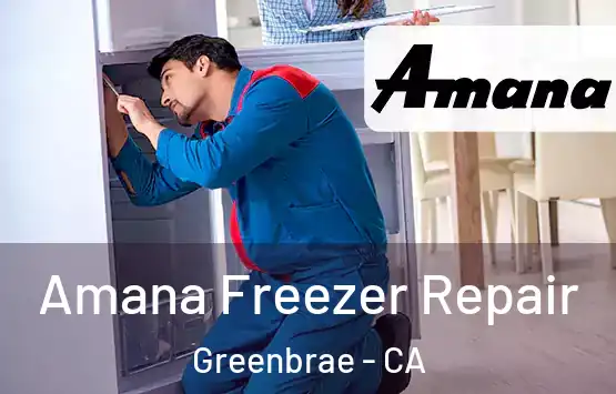  Amana Freezer Repair Greenbrae - CA
