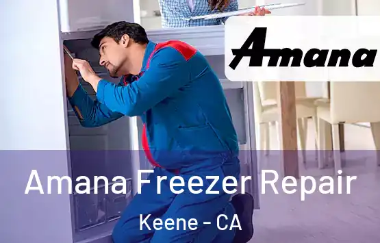  Amana Freezer Repair Keene - CA