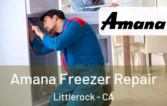  Amana Freezer Repair Littlerock - CA