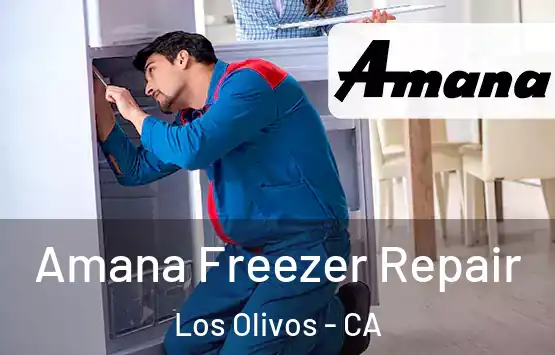  Amana Freezer Repair Los Olivos - CA