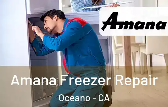  Amana Freezer Repair Oceano - CA