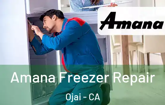  Amana Freezer Repair Ojai - CA