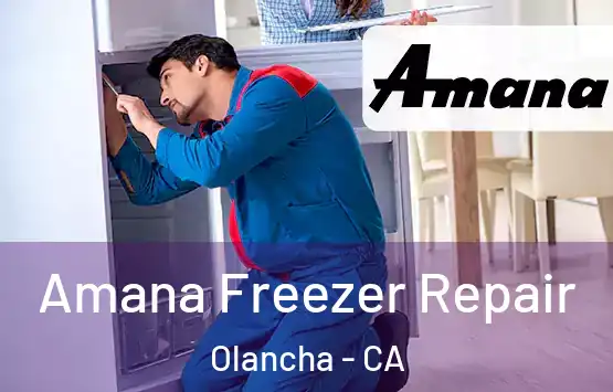  Amana Freezer Repair Olancha - CA