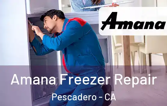  Amana Freezer Repair Pescadero - CA