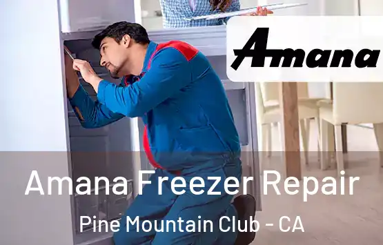  Amana Freezer Repair Pine Mountain Club - CA