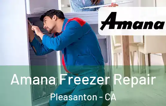  Amana Freezer Repair Pleasanton - CA