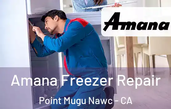  Amana Freezer Repair Point Mugu Nawc - CA