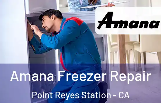  Amana Freezer Repair Point Reyes Station - CA