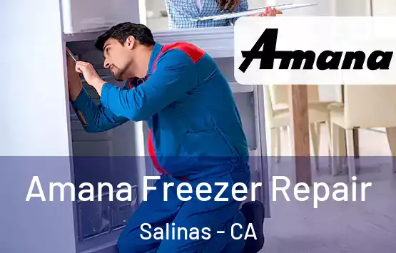  Amana Freezer Repair Salinas - CA