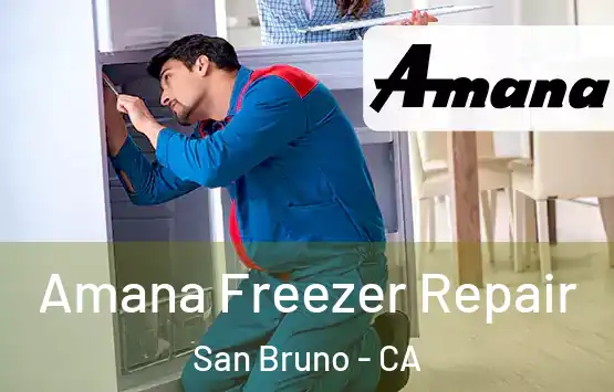  Amana Freezer Repair San Bruno - CA