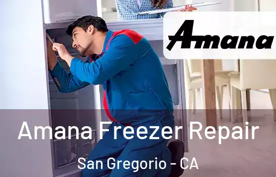  Amana Freezer Repair San Gregorio - CA