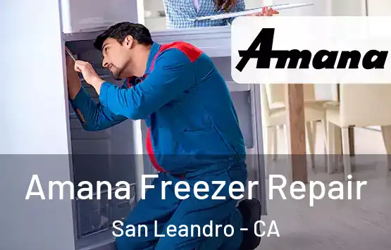  Amana Freezer Repair San Leandro - CA