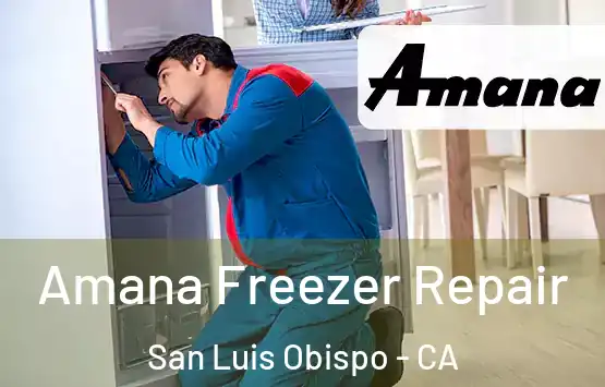  Amana Freezer Repair San Luis Obispo - CA