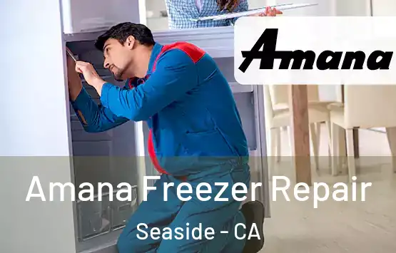  Amana Freezer Repair Seaside - CA