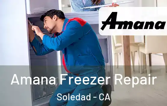  Amana Freezer Repair Soledad - CA