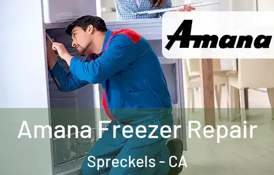  Amana Freezer Repair Spreckels - CA