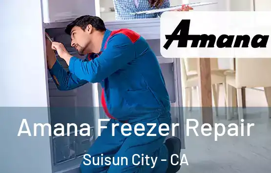  Amana Freezer Repair Suisun City - CA