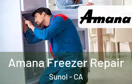  Amana Freezer Repair Sunol - CA