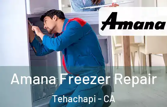  Amana Freezer Repair Tehachapi - CA