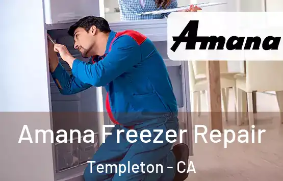  Amana Freezer Repair Templeton - CA