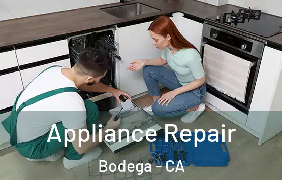  Appliance Repair Bodega - CA