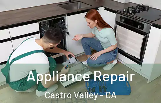  Appliance Repair Castro Valley - CA