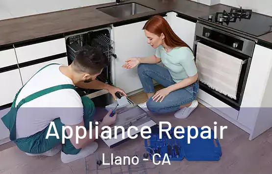  Appliance Repair Llano - CA