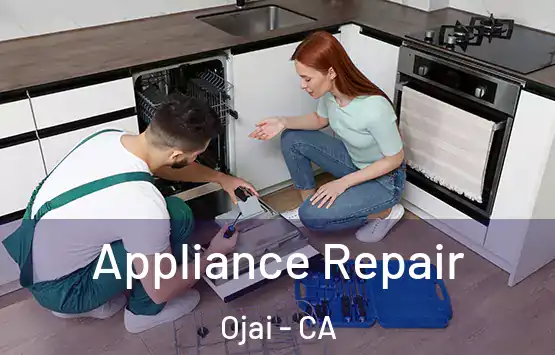  Appliance Repair Ojai - CA