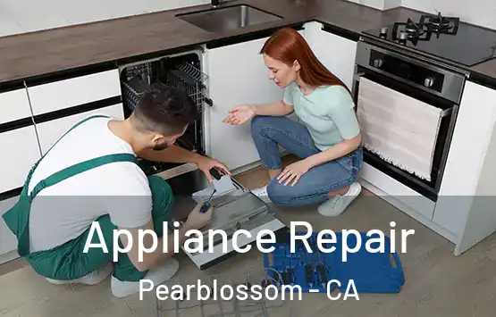  Appliance Repair Pearblossom - CA