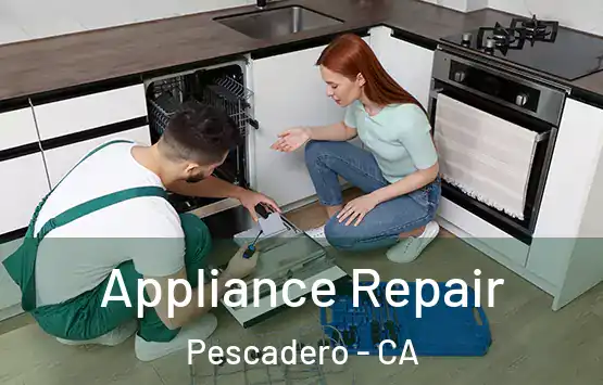  Appliance Repair Pescadero - CA
