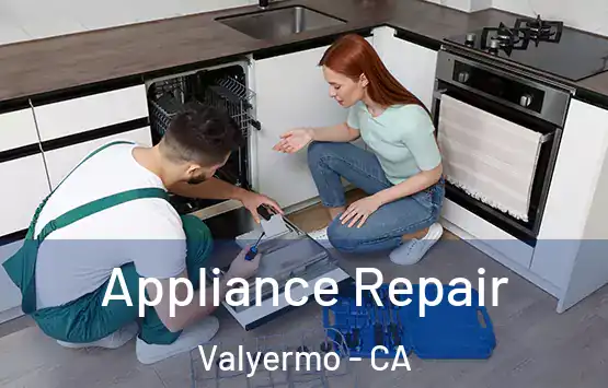  Appliance Repair Valyermo - CA