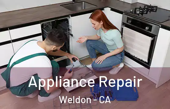 Appliance Repair Weldon - CA