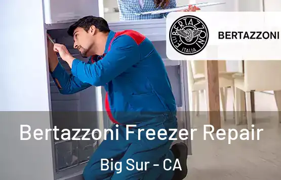  Bertazzoni Freezer Repair Big Sur - CA