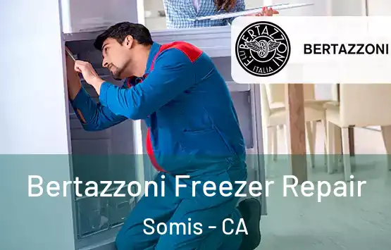  Bertazzoni Freezer Repair Somis - CA