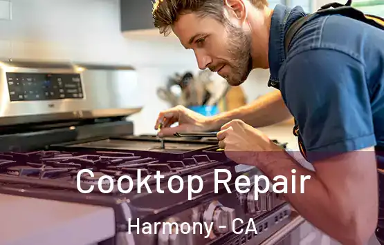  Cooktop Repair Harmony - CA