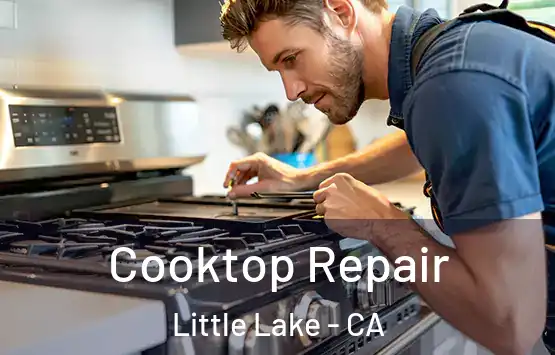  Cooktop Repair Little Lake - CA