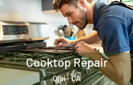  Cooktop Repair Ojai - CA