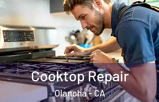  Cooktop Repair Olancha - CA