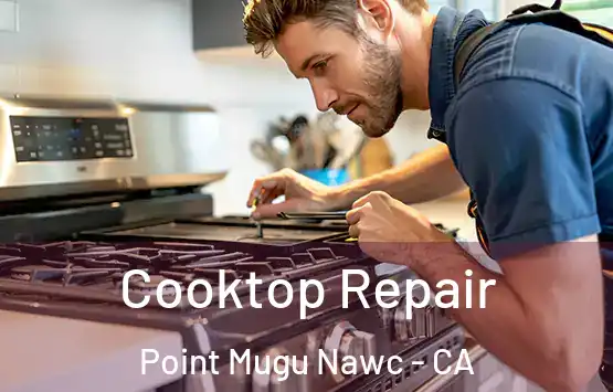 Cooktop Repair Point Mugu Nawc - CA