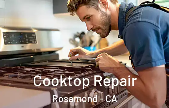  Cooktop Repair Rosamond - CA