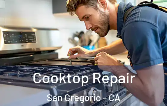  Cooktop Repair San Gregorio - CA