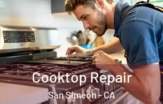  Cooktop Repair San Simeon - CA