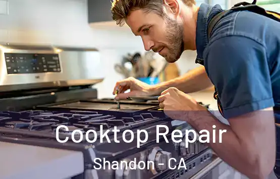  Cooktop Repair Shandon - CA