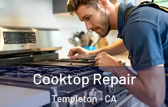 Cooktop Repair Templeton - CA