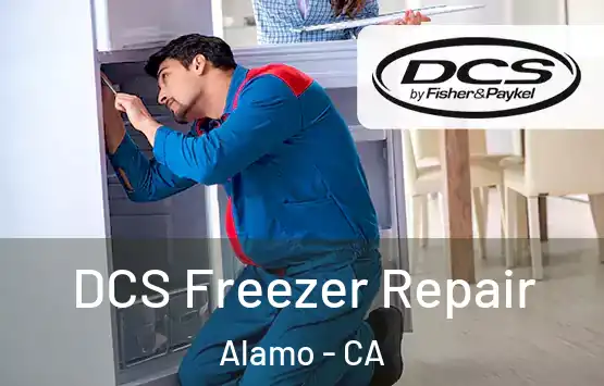  DCS Freezer Repair Alamo - CA